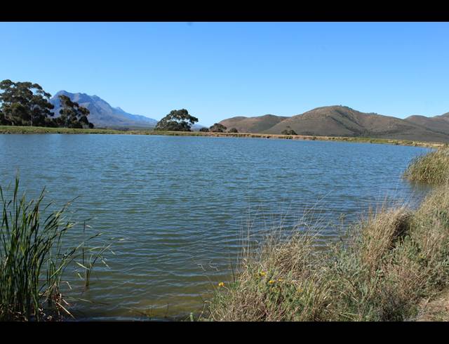 118HA FARM FOR SALE IN GREYTON
